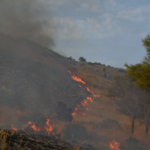 foto 11-31/08 n. 17 / 16325