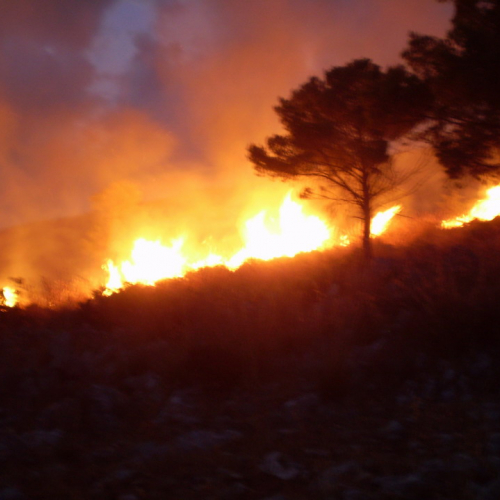 foto 11-31/08 n. 19 / 16327