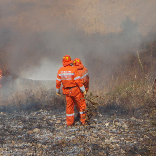 X∞ turno Puglia 2011 n. 11 / 70175