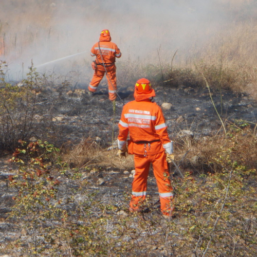 X∞ turno Puglia 2011 n. 13 / 70177