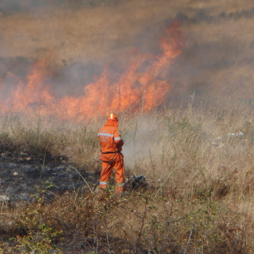 X∞ turno Puglia 2011 n. 15 / 70179