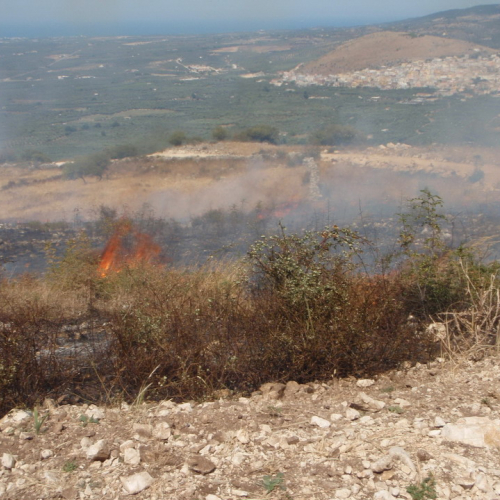 X∞ turno Puglia 2011 n. 18 / 70182