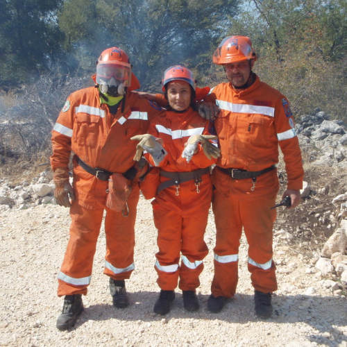 X∞ turno Puglia 2011 n. 22 / 70186