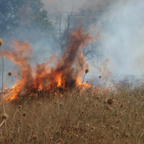 X∞ turno Puglia 2011 n. 27 / 70191