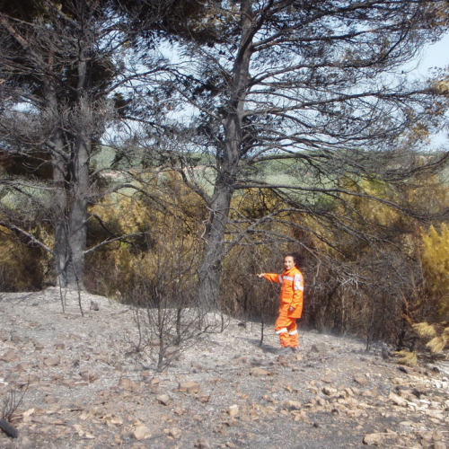 X∞ turno Puglia 2011 n. 30 / 70194