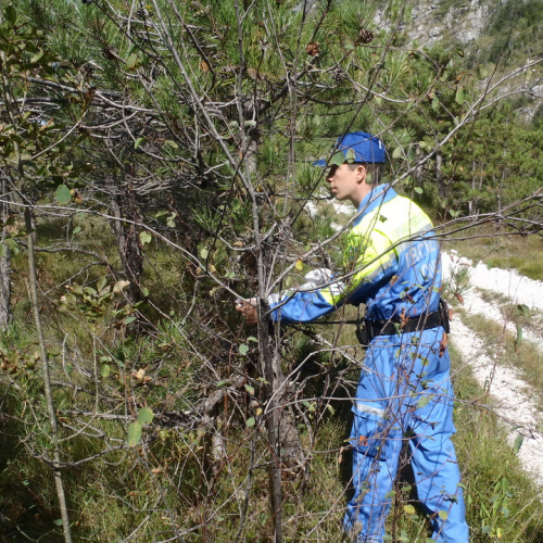 Corso del 22/09/13 n.a- 44 / 100030