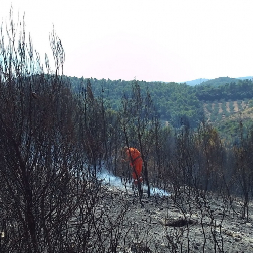 I volontari del 7∞ turno AIB in Puglia n. 12 / 98683