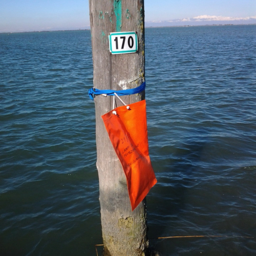 Attivit‡ ai Campi scuola" n. 27""ttivit‡ ai "Campi s""tivit‡ " / 93060