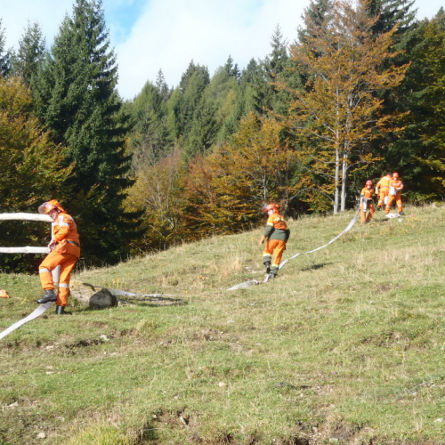 Esercitazione Corce 2013" n. 8""sercitazione "Co""er" / 100850