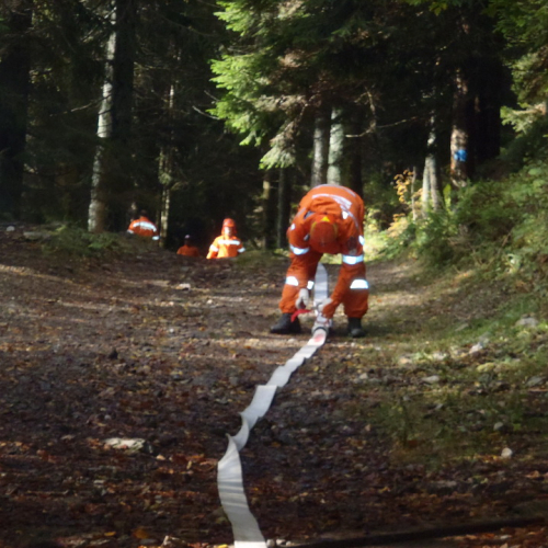 Esercitazione Corce 2013" n. 11""sercitazione "Cor""erc" / 100853