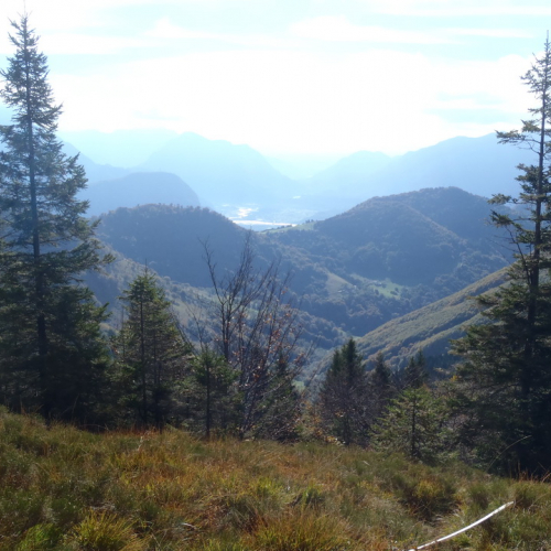 Esercitazione Corce 2013" n. 22""sercitazione "Cor""erc" / 100864