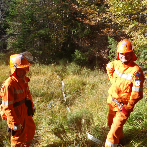 Esercitazione Corce 2013" n. 24""sercitazione "Cor""erc" / 100866