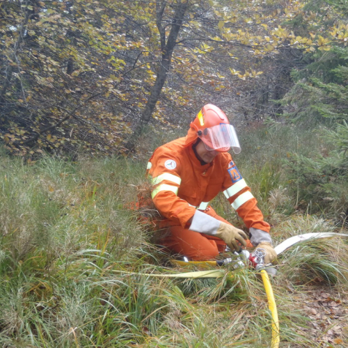 Esercitazione Corce 2013" n. 25""sercitazione "Cor""erc" / 100867