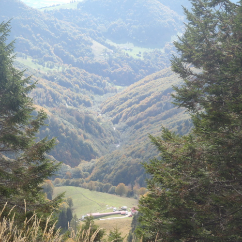 Esercitazione Corce 2013" n. 27""sercitazione "Cor""erc" / 100869