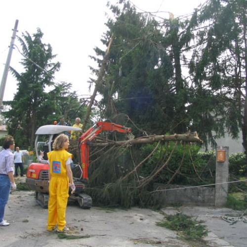 Pagnacco 07 / 3919