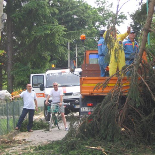 Pagnacco 06 / 3918