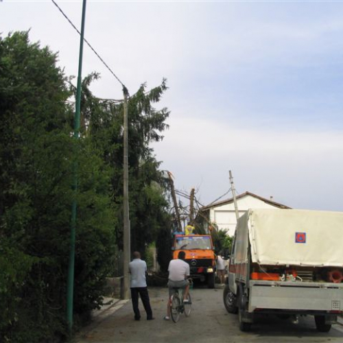 Pagnacco 02 / 3914