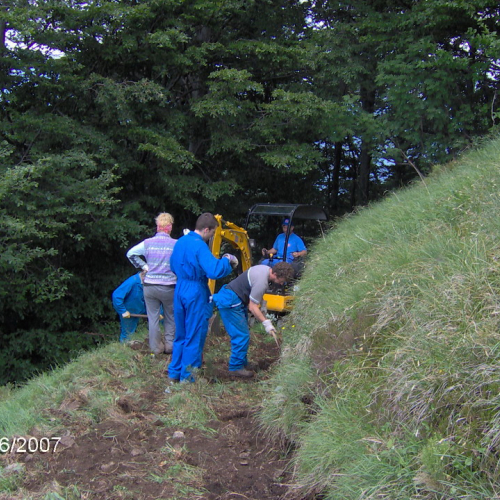 Palas 2 e 3 giugno f.2 / 14903