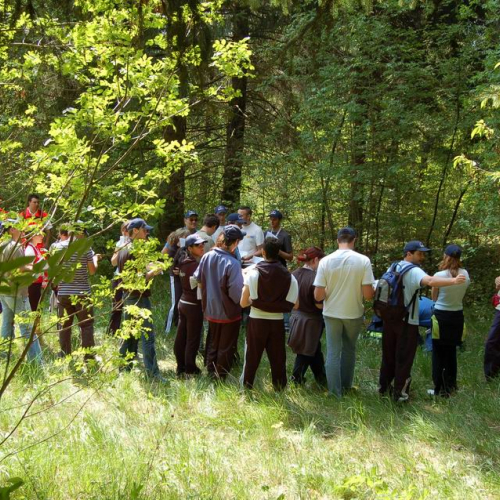 Orienteering nei boschi 018 / 10822
