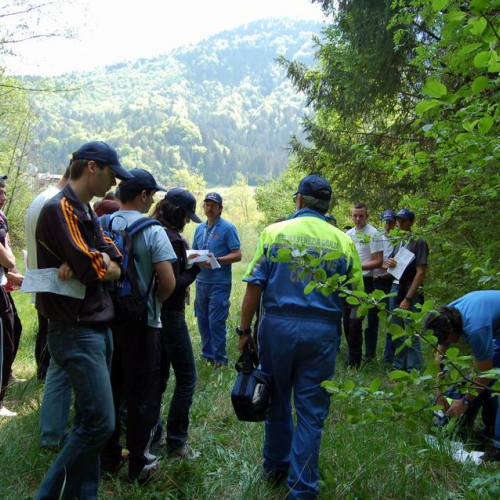 Orienteering nei boschi 019 / 10823