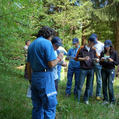 Orienteering nei boschi 020 / 10824