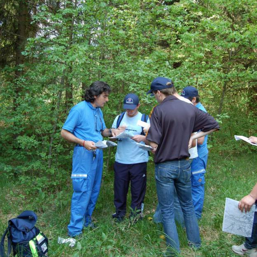 Orienteering nei boschi 022 / 10826