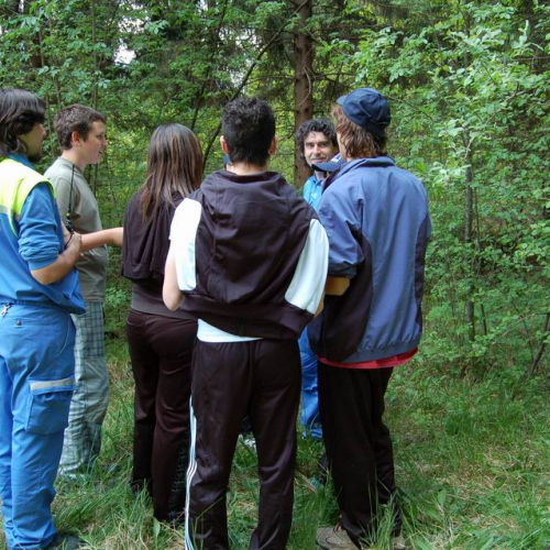 Orienteering nei boschi 023 / 10827