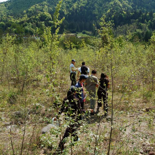 Orienteering nei boschi 024 / 10828