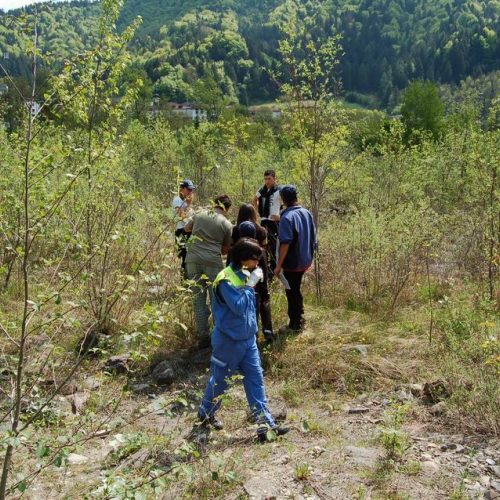 Orienteering nei boschi 025 / 10829