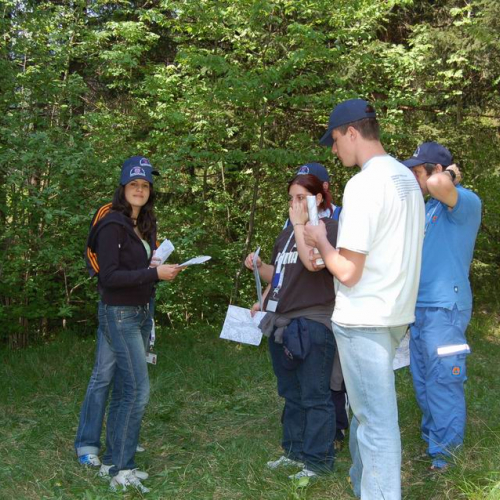 Orienteering nei boschi 027 / 10831