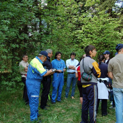 Orienteering nei boschi 029 / 10833