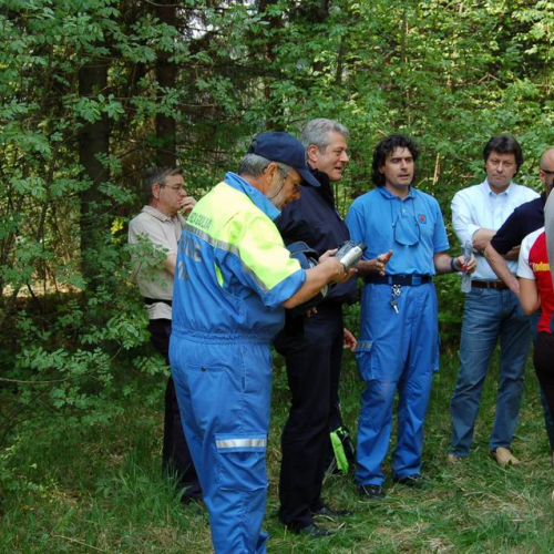 Orienteering nei boschi 030 / 10834