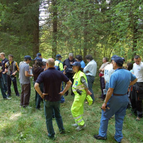 Orienteering nei boschi 031 / 10835