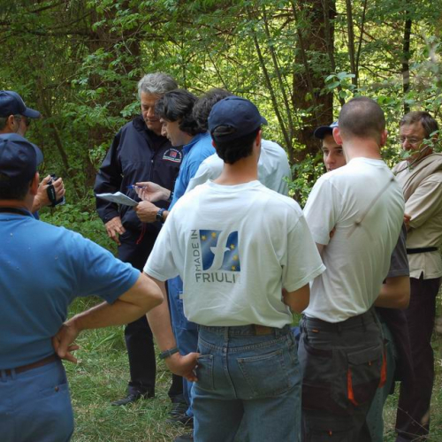 Orienteering nei boschi 032 / 10836