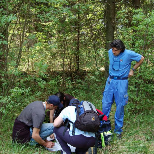 Orienteering nei boschi 033 / 10837