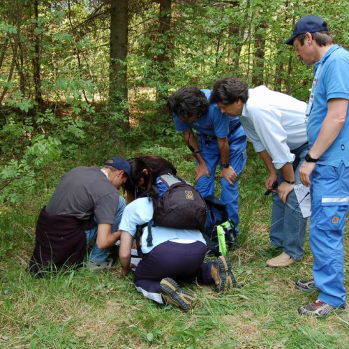 Orienteering nei boschi 034 / 10838