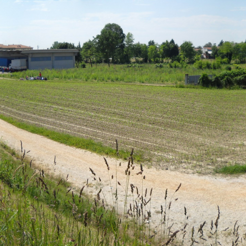 Attivit‡ con scuole 20/05 n. 41 / 52922