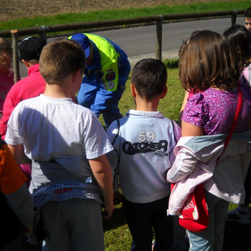 Attivit‡ con le scuole 15/04/13 n. 3 / 93890