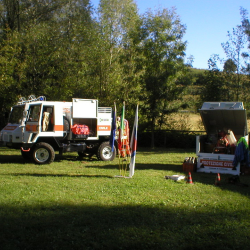 Attivit‡ di supporto alla giornata internazionale delle foreste n. a 7 / 70925