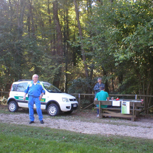 Attivit‡ di supporto alla giornata internazionale delle foreste n. a 11 / 70929