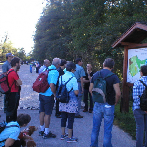 Attivit‡ di supporto alla giornata internazionale delle foreste n. 2 / 70911