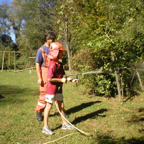 Attivit‡ di supporto alla giornata internazionale delle foreste n. 4 / 70913