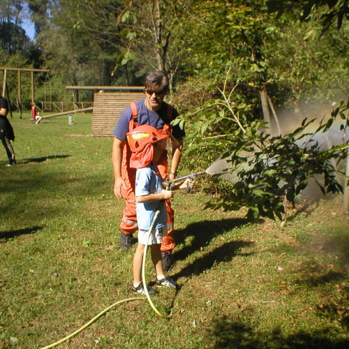 Attivit‡ di supporto alla giornata internazionale delle foreste n. 7 / 70916