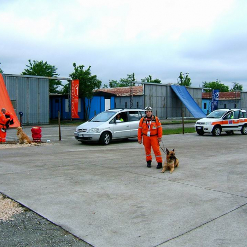 Partenza vari siti Regionali 004 / 11417