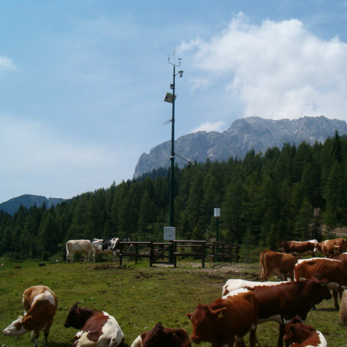 Passo Pramollo 15-7-09 / 45001