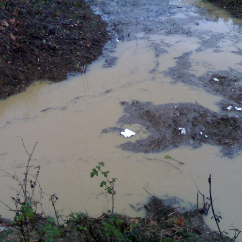 Sistuazione post-intervento a Pavia n. 2 / 32672