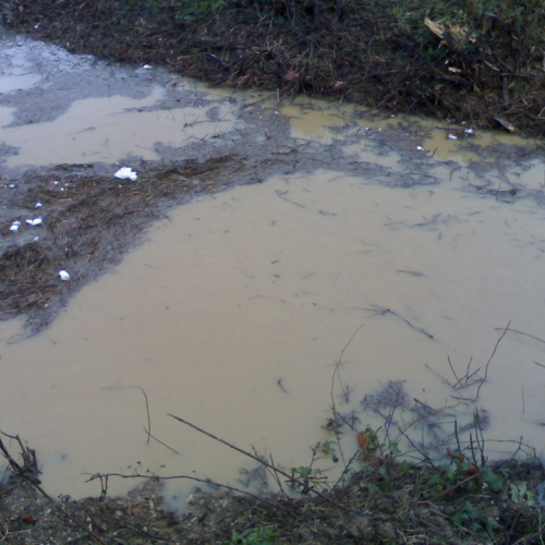 Sistuazione post- intervento a Pavia n. 3 / 32673