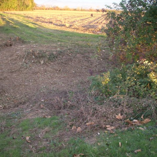 Interventi a Pavia n. 1 / 32573