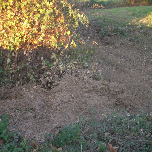 Interventi a Pavia n. 2 / 32574