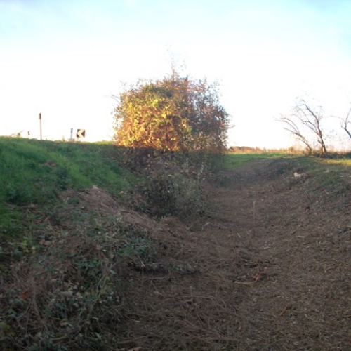 Interventi a Pavia n. 3 / 32575